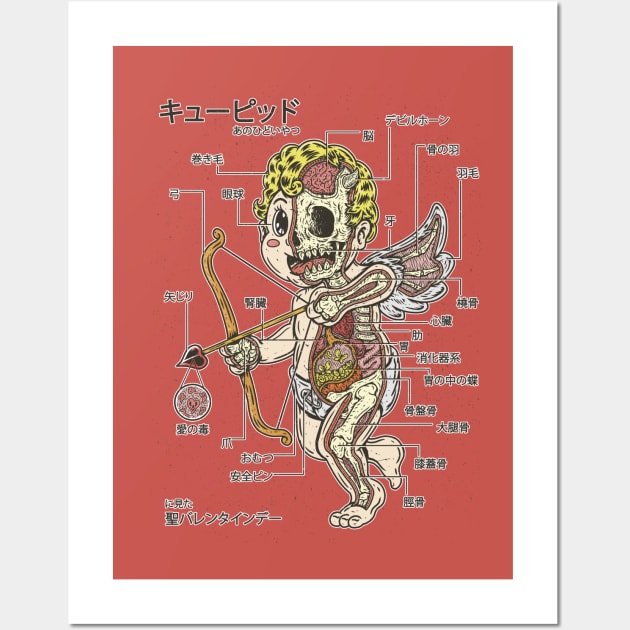 CUPID ANATOMY Wall Art by Firebrander